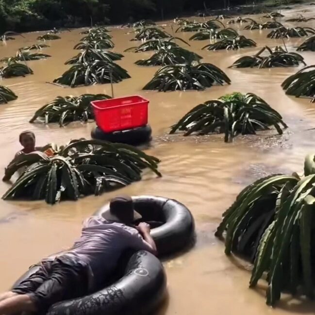 You are currently viewing Số hóa viện trợ tài chính sau thảm họa